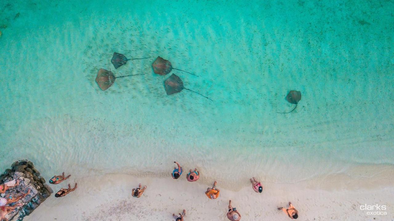 Swarn By Hawks Hotels Kamadhoo Экстерьер фото